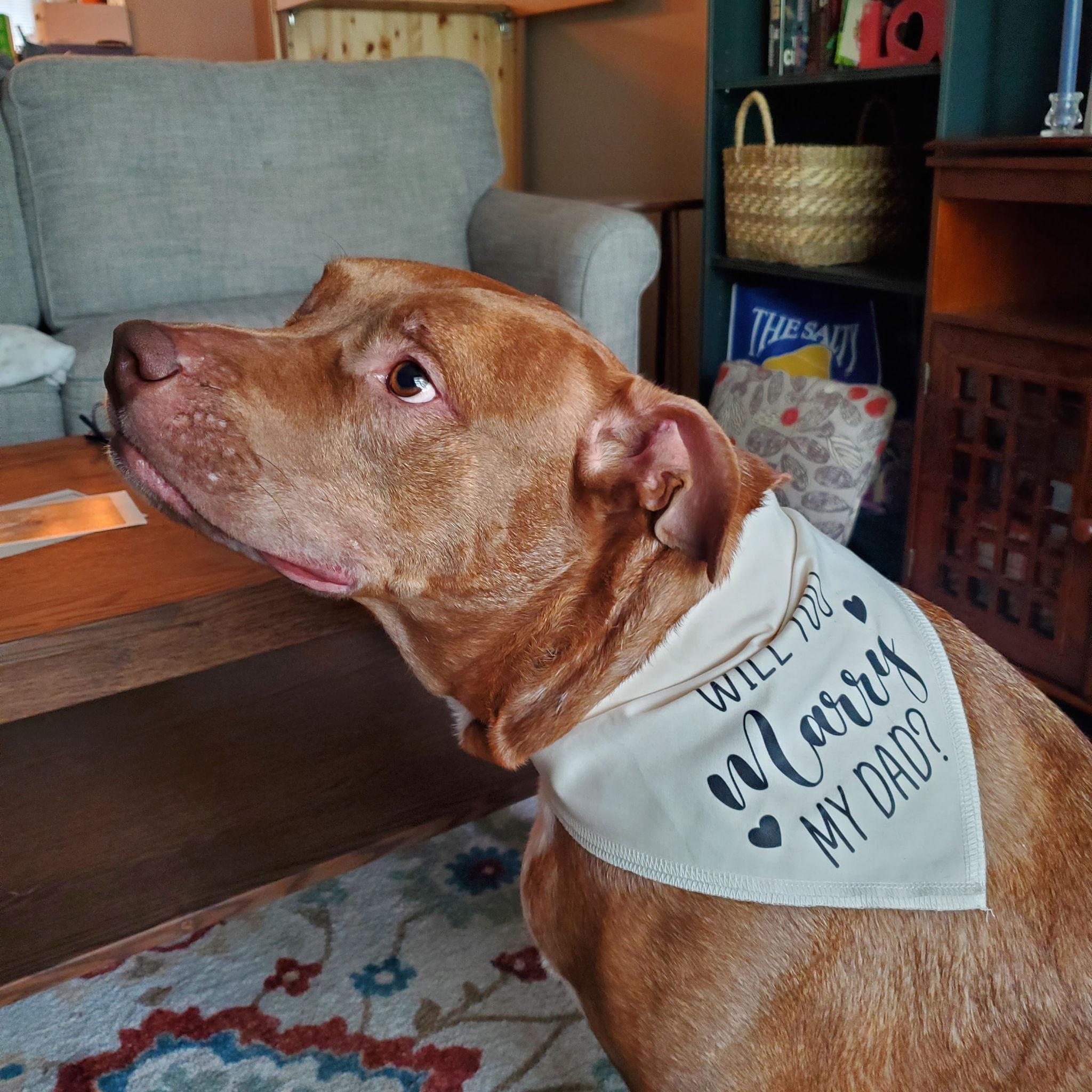 Milo was the perfect engagement wingman