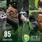 Zoológico Amaru