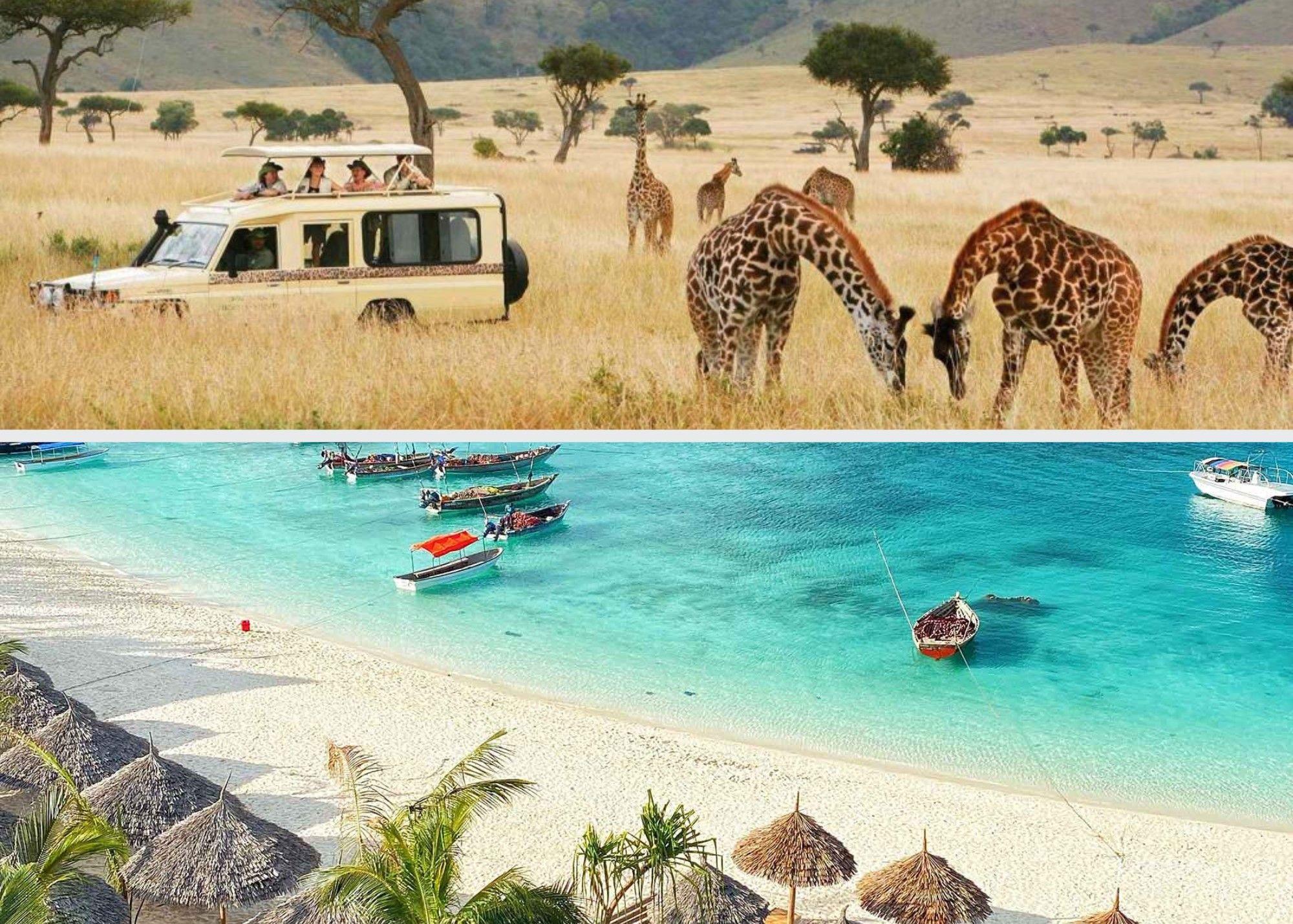 366bebdf-26da-47de-aa80-8a617a5d8426