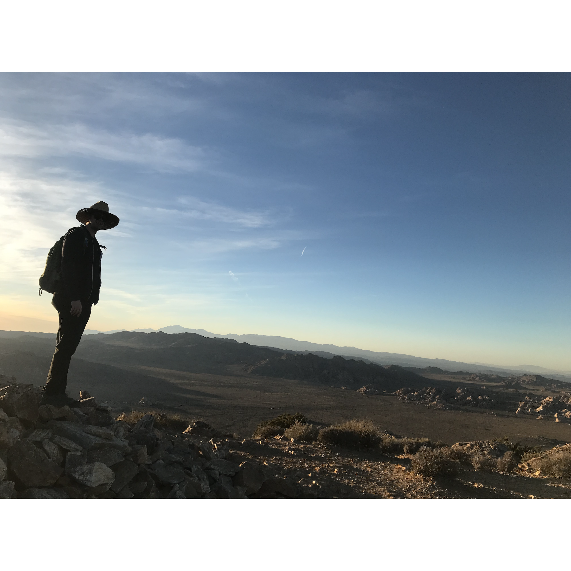 Nimbus at Joshua Tree. Photo cred: RB.