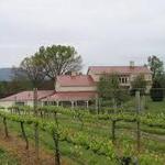 White Hall Vineyard