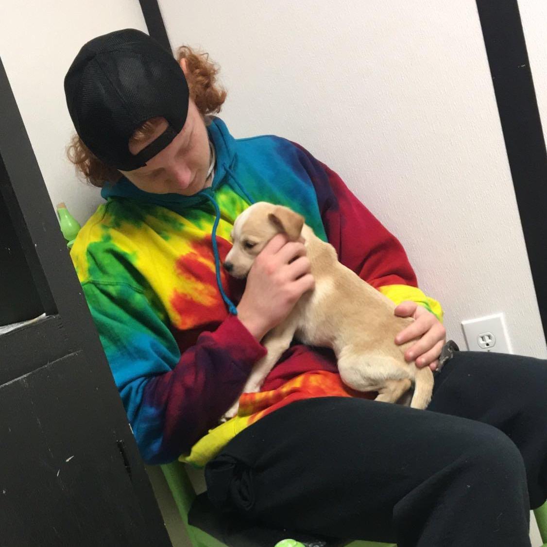 The day we decided we needed a fur baby!