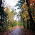 Radnor Trail