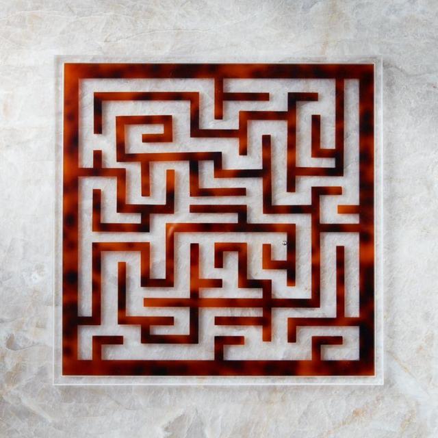 Tortoise Acrylic Maze Game