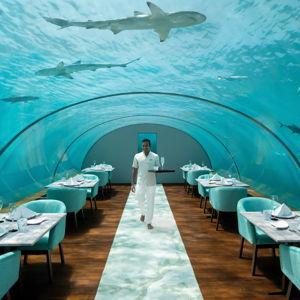 Eat dinner underwater