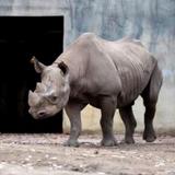 Potter Park Zoo