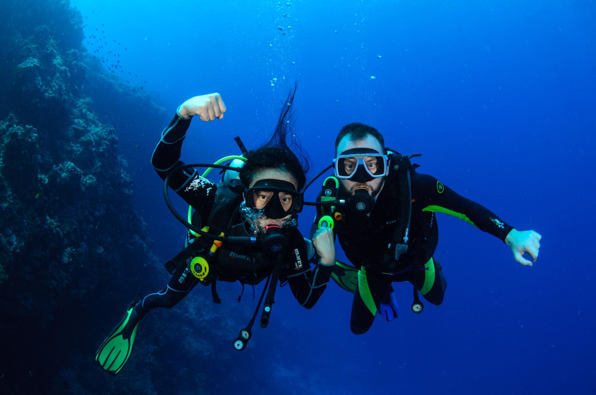 Dive Dive Dive!!