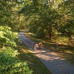 Greenway Trail