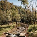 Coler Trailhead Haven