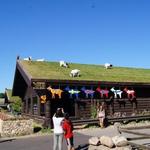 Al Johnson’s Swedish Restaurant & Butik