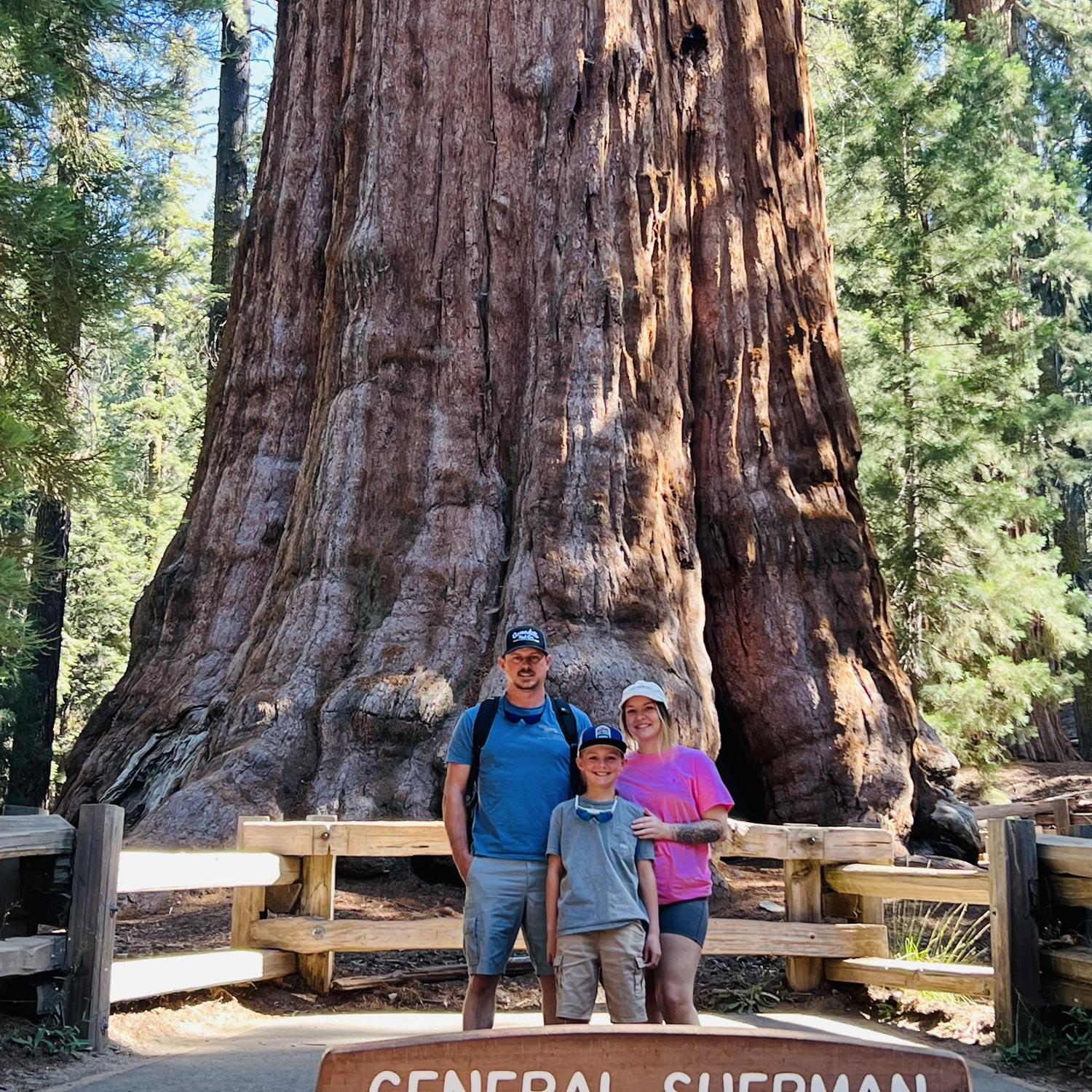Sequoia National Park, July 2024 🌳