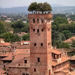 Guinigi Tower