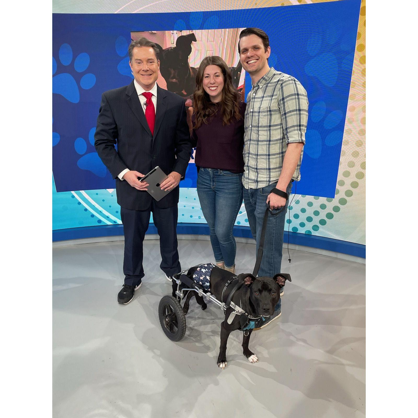 News 12 NJ, 2022