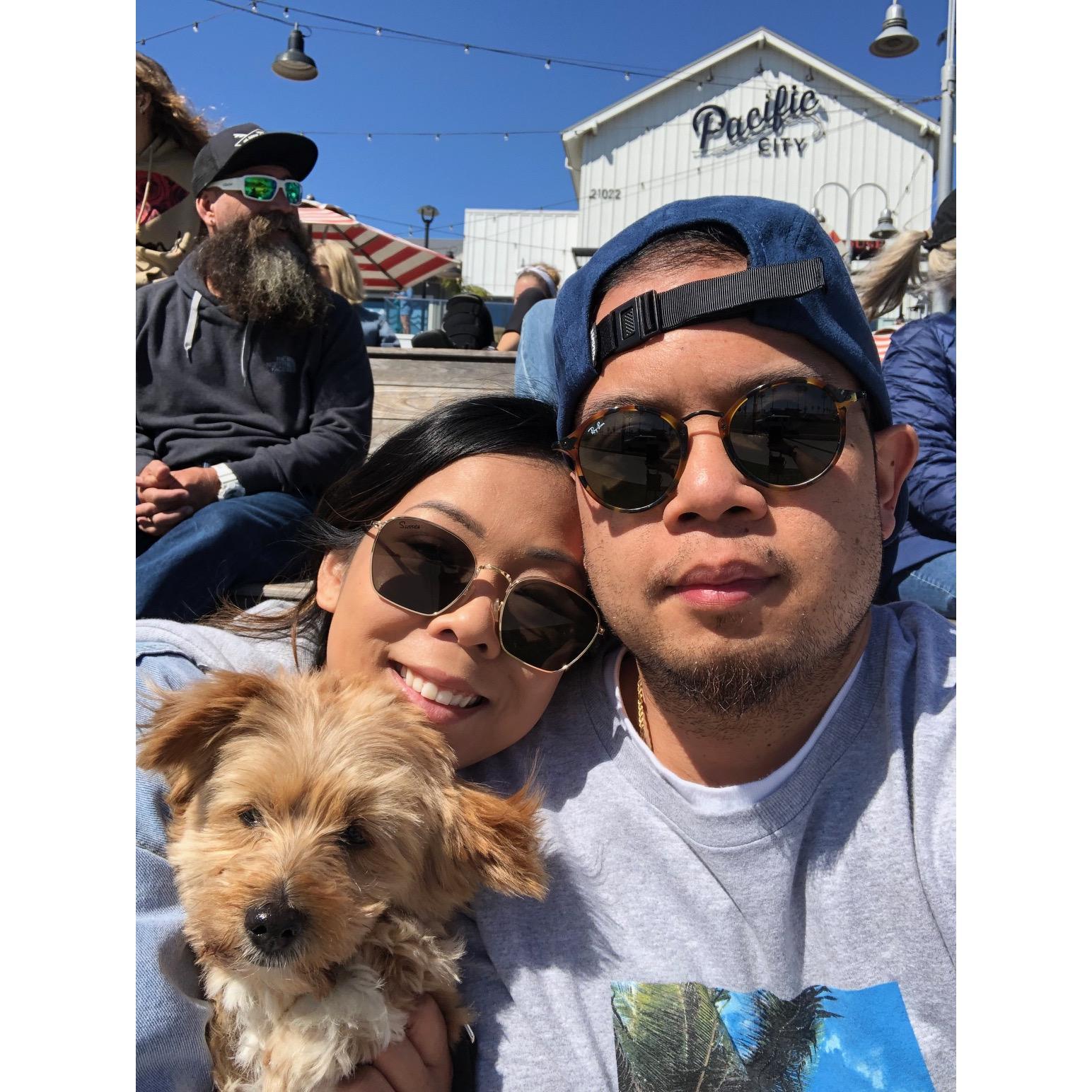 Taking Walle to the beach