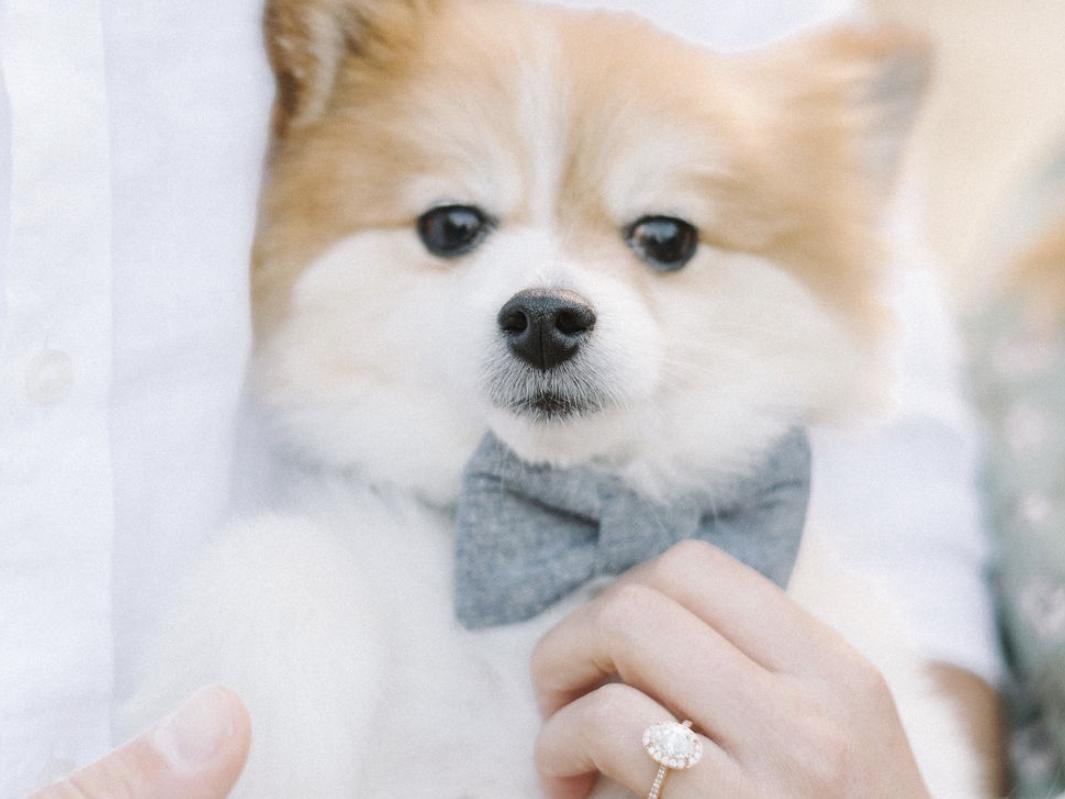 The Wedding Website of Sarah Frey and Elliott Fuller