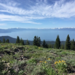Martis Peak Fire Lookout Hike