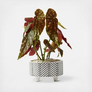 Geometric Large Planter