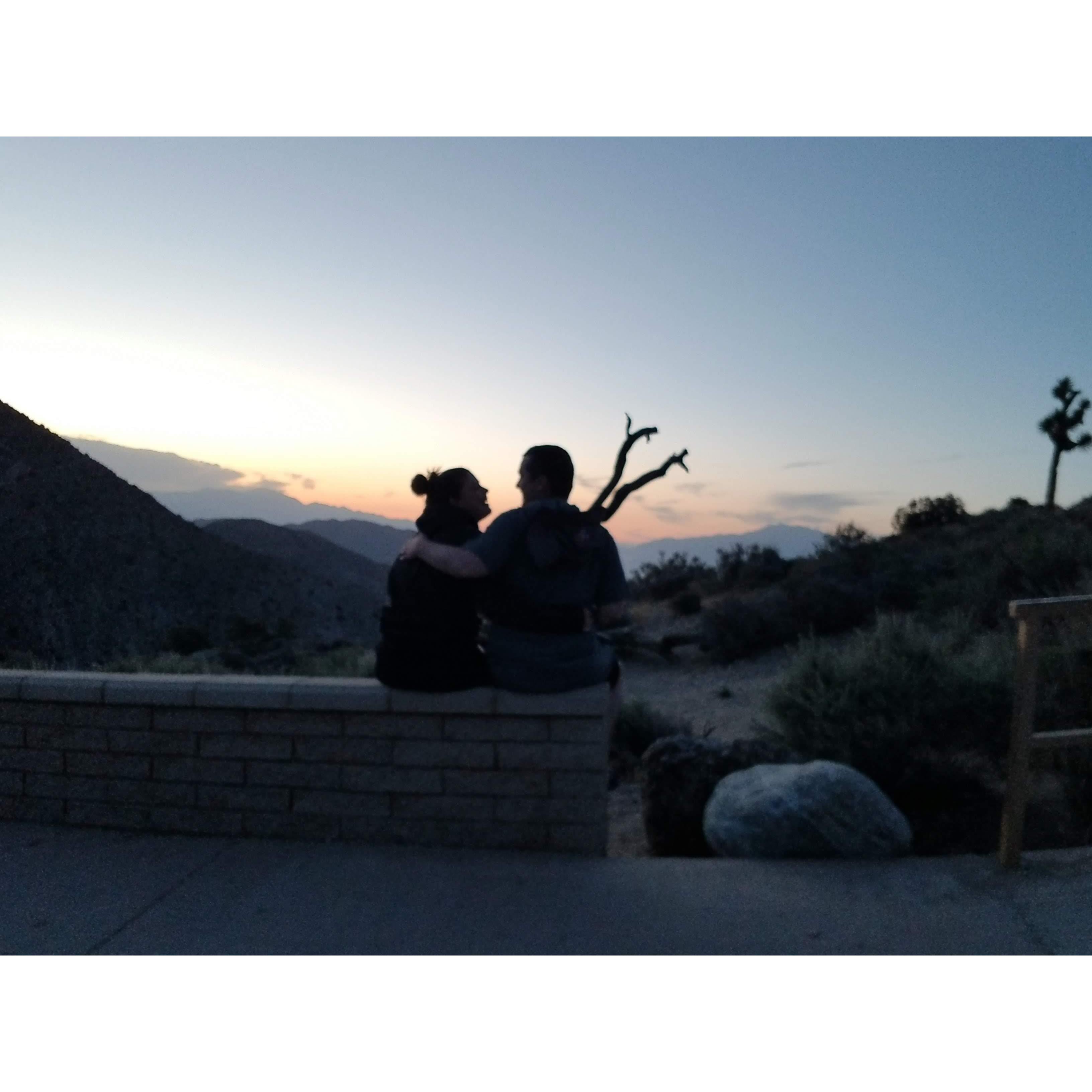 Joshua Tree National Park sunset, (2023)