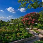 San Antonio Botanical Garden