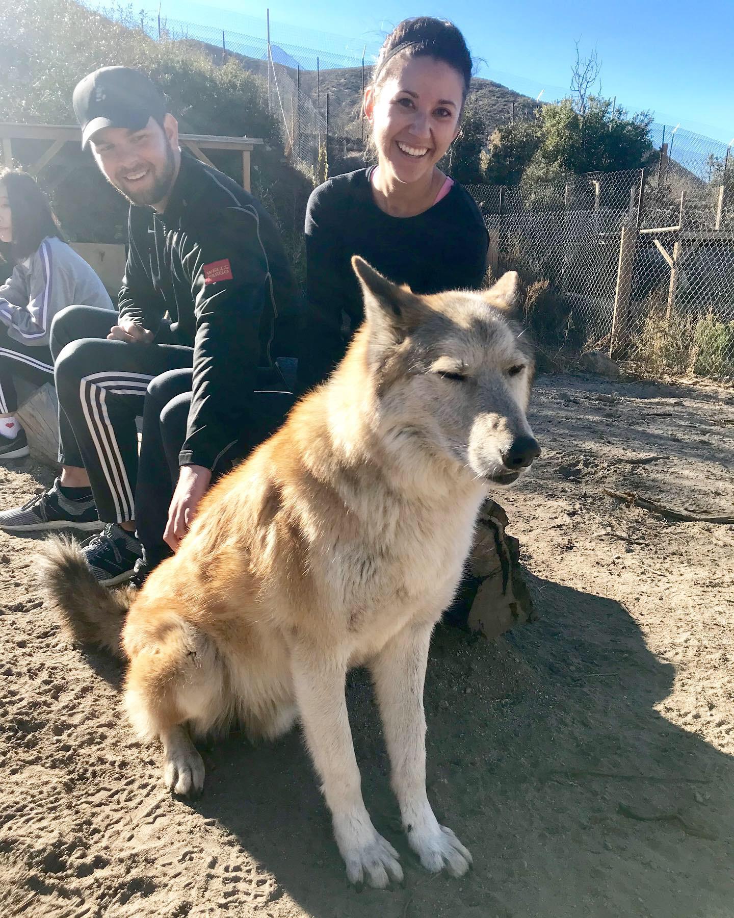 Sam and Alana at Wolf Connection in the Angeles Forest connecting with wolves for Sam’s 27th birthday! 🐺