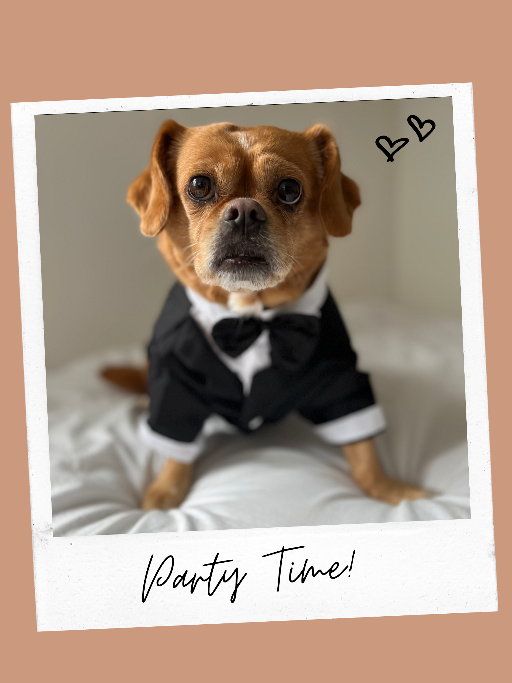 The Wedding Website of Alexandra Wilson and Michael Berardino