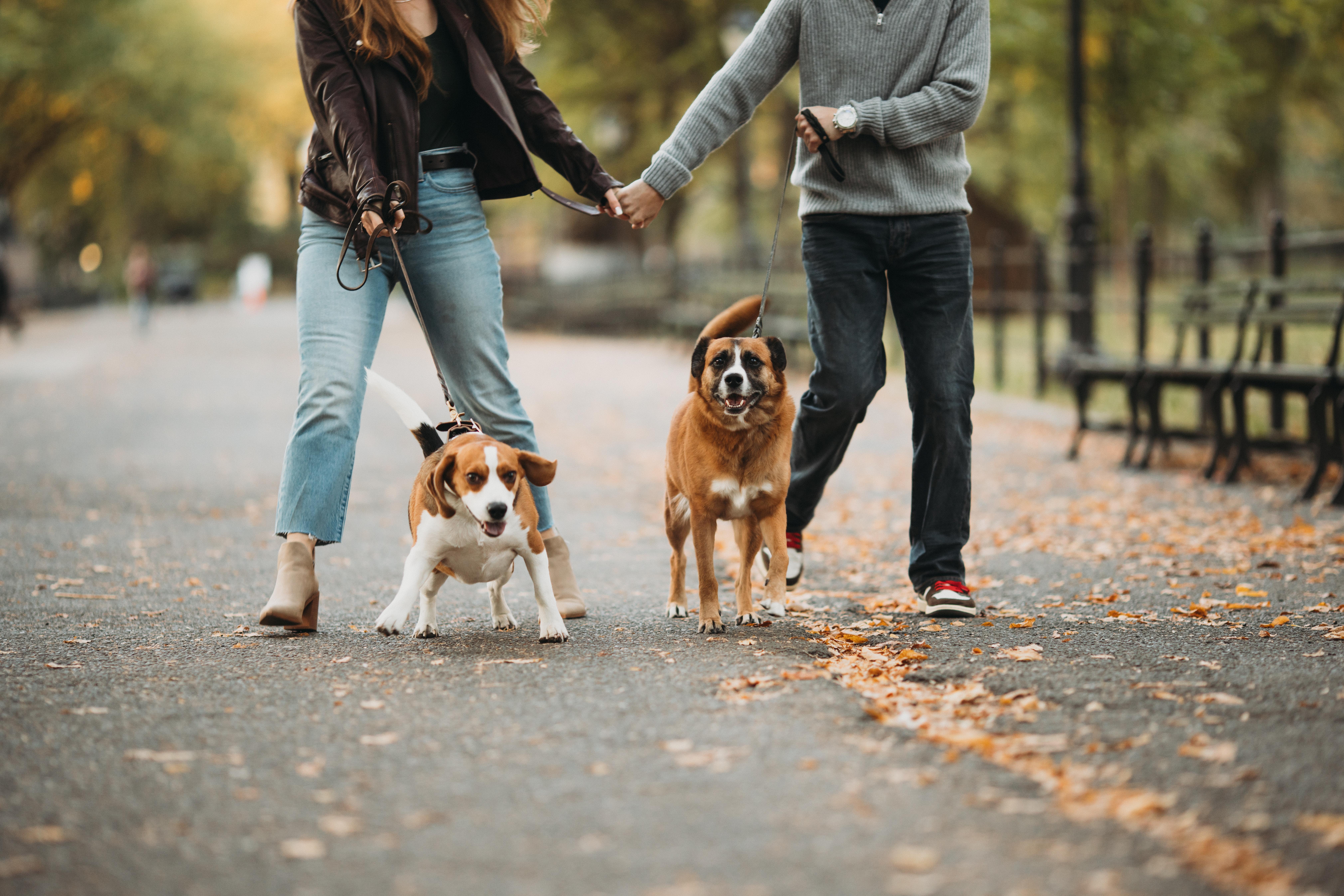 The Wedding Website of Mariah DeSerisy and Trent Smalley