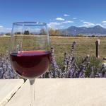 Palisade (and beyond) Wineries, Breweries and Distilleries