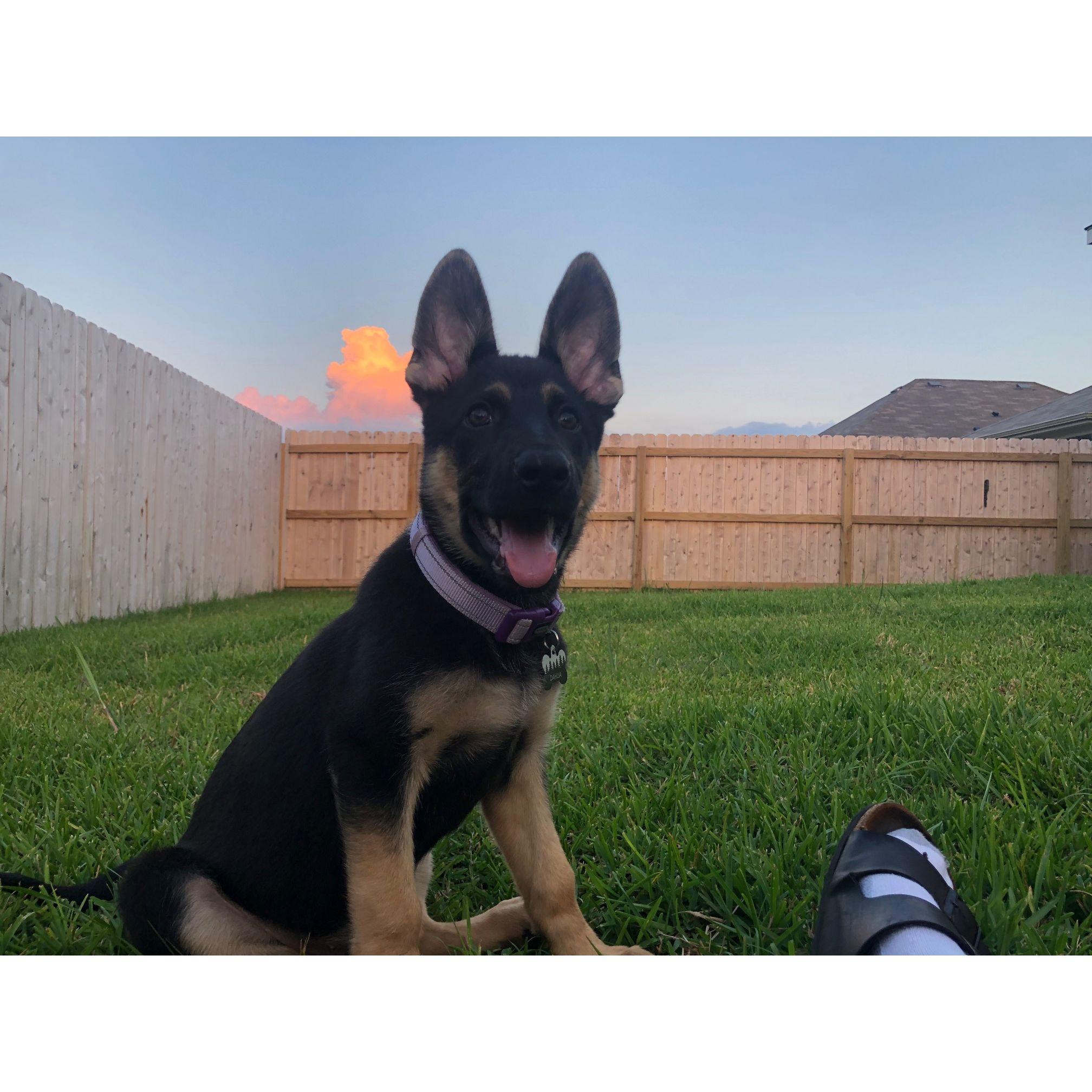 Dahlia, the baby girl.