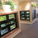 The Reptile Discovery Center