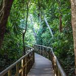 Manuel Antonio National Park