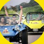 Big Island Buggy