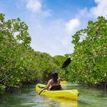 Oleta River State Park