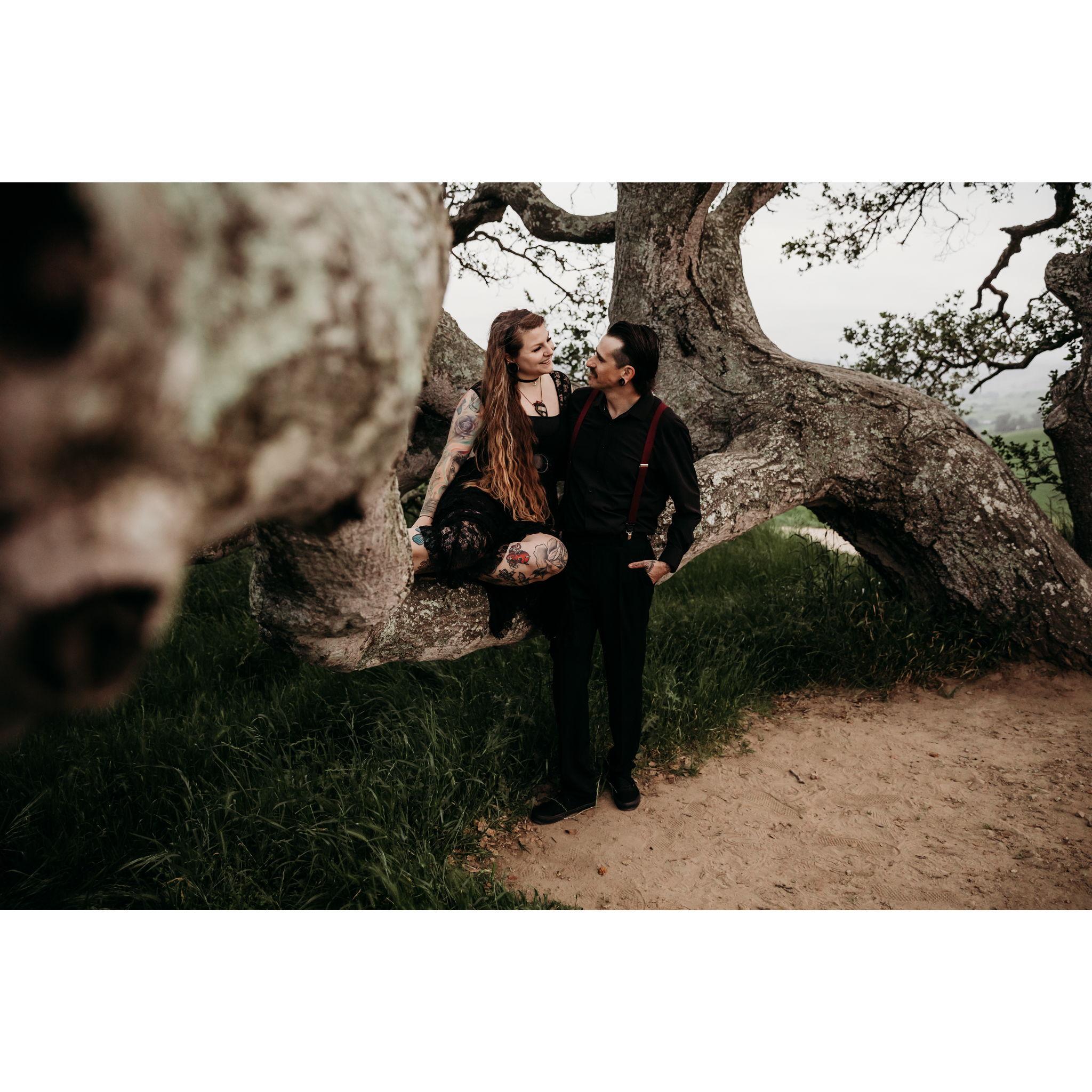Vera Francis Photography