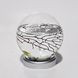EcoSphere Closed Aquatic Ecosystem Medium Sphere with LED base