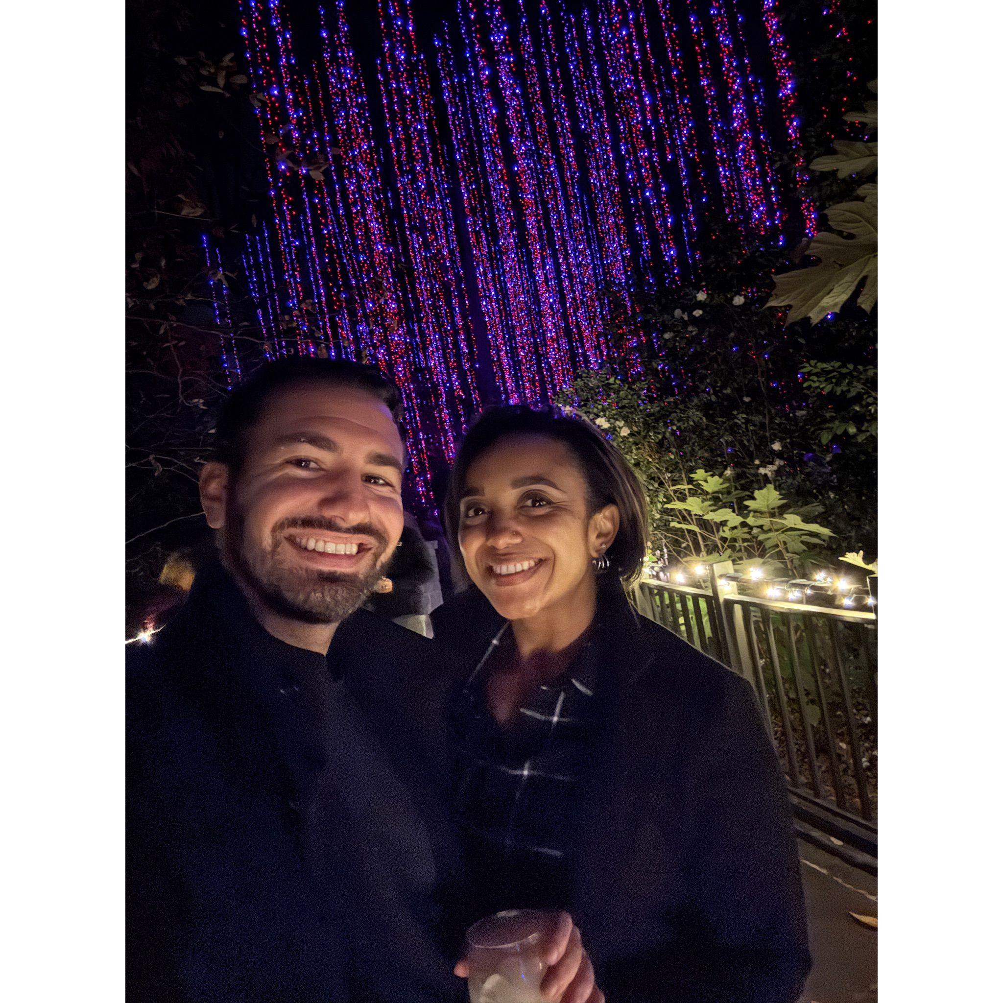 Holiday lights at the Botanical Garden in Atlanta, GA