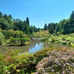 Washington Park Arboretum UW Botanic Gardens