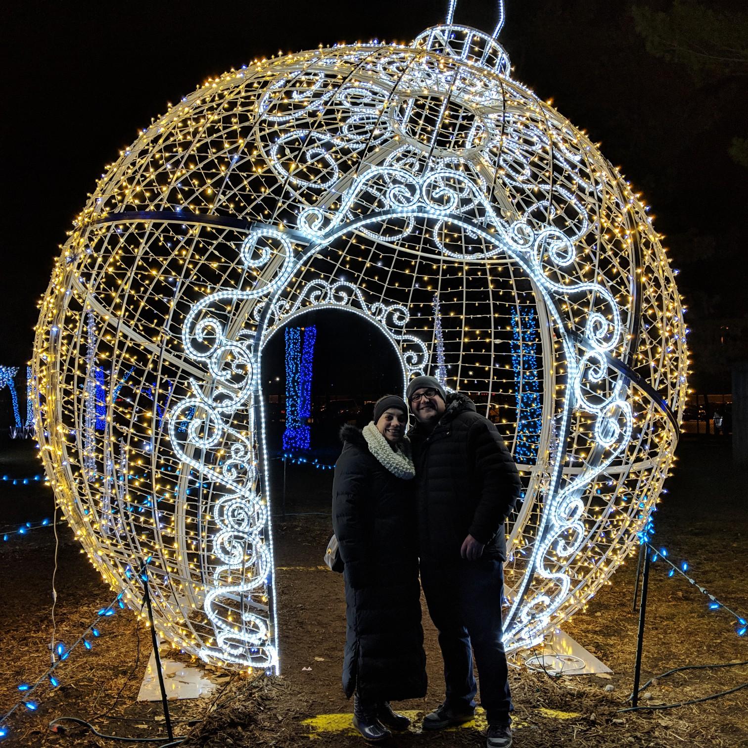 Wild Lights at the Detroit Zoo