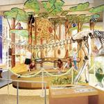 Asheville Museum of Science