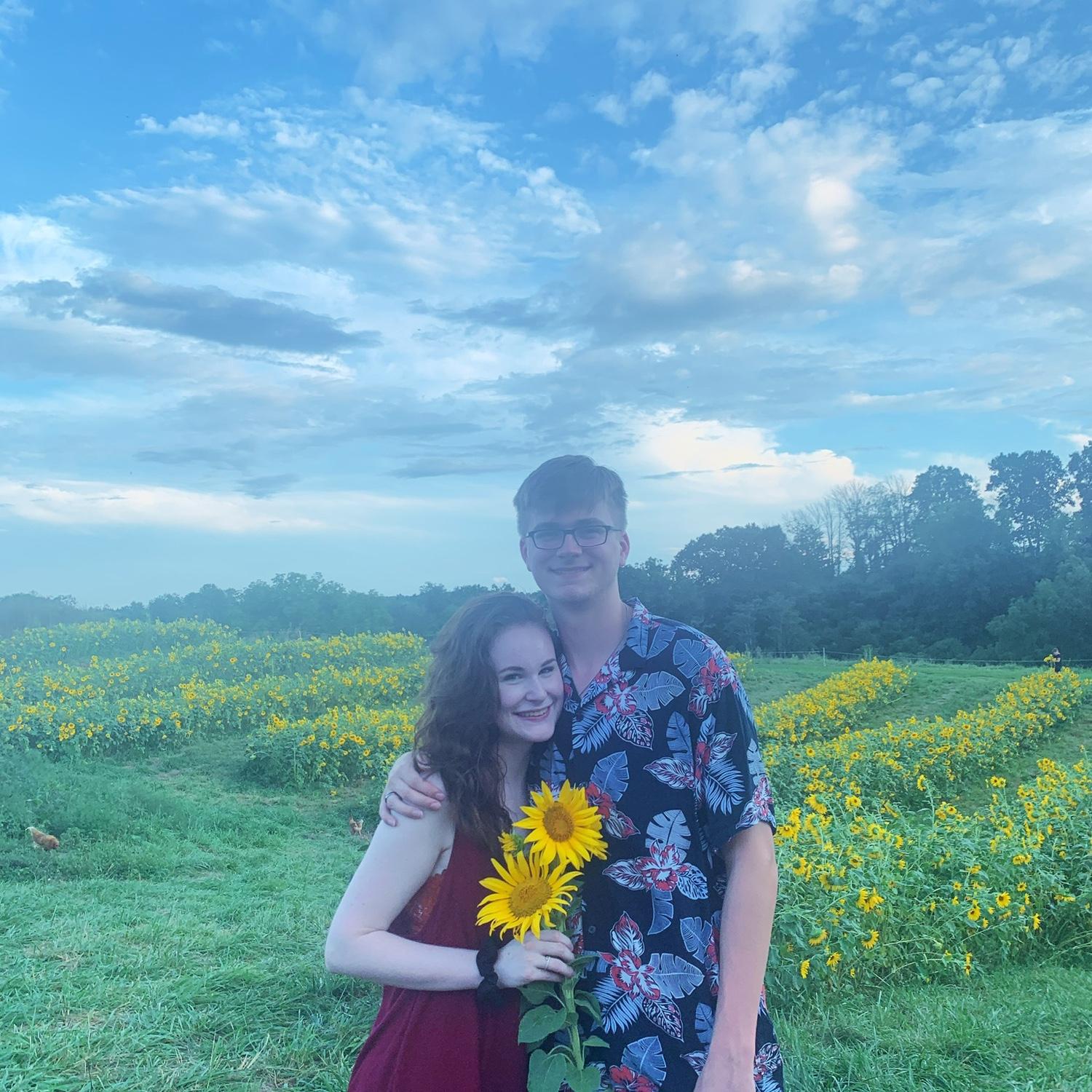 Sunflower Fields outside Blacksburg VA