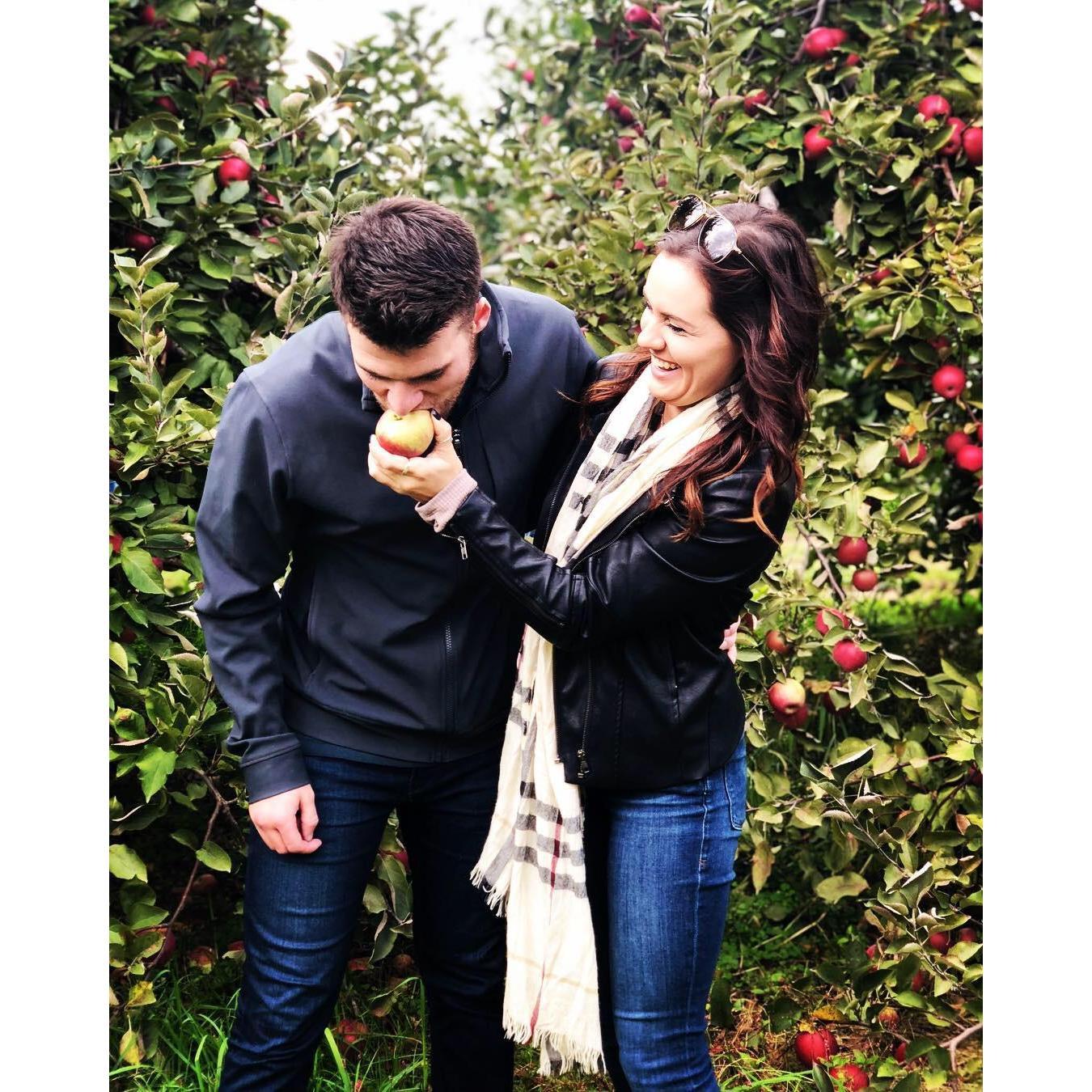 How do you like them apples?