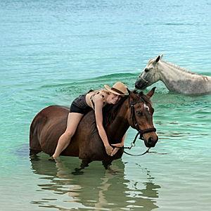 Horseback Ride on the Beach