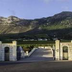Cape Point Vineyards