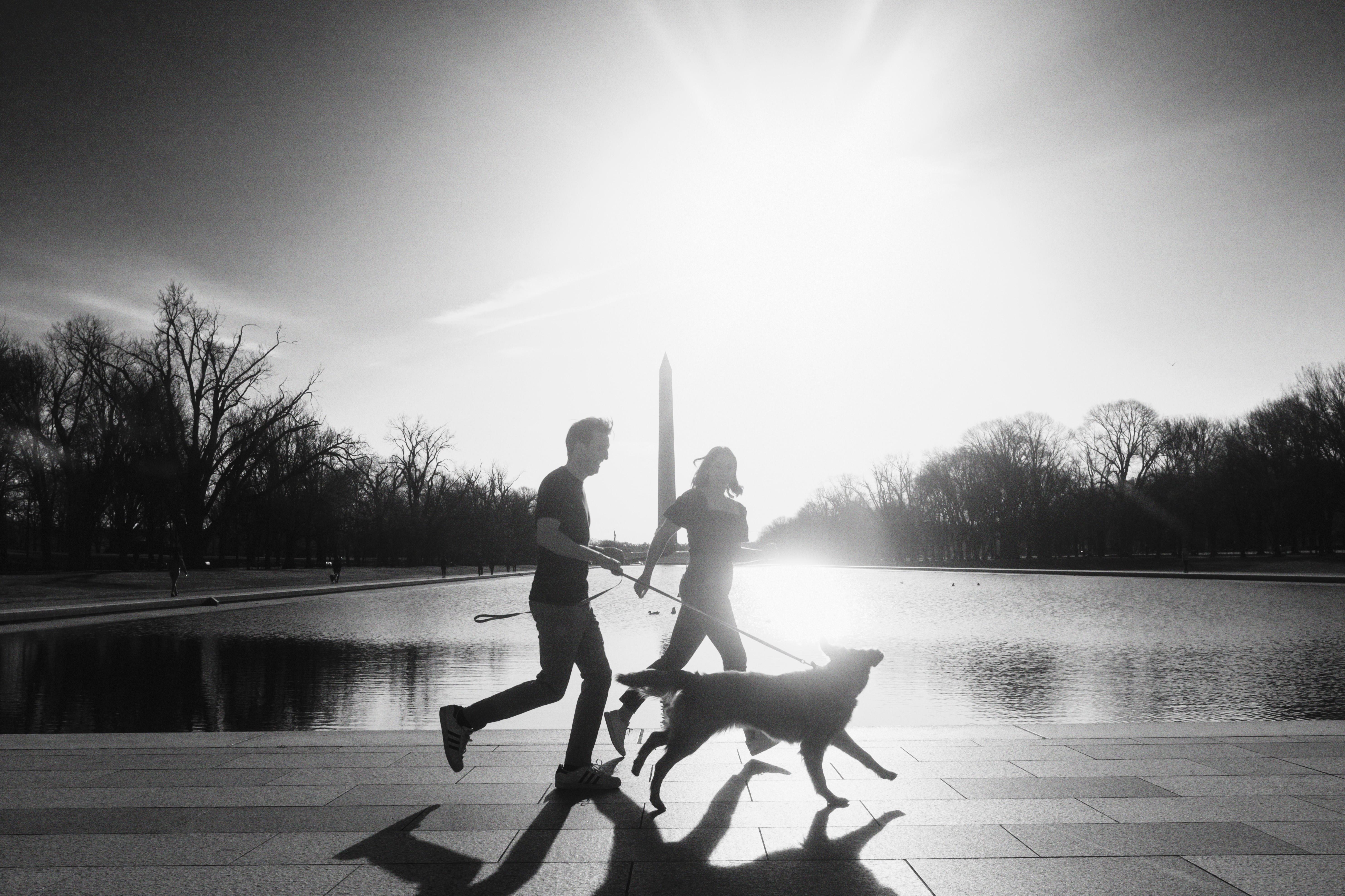 The Wedding Website of Sarah Dickert and Tanner Waldron