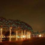 Charleston Festival of Lights