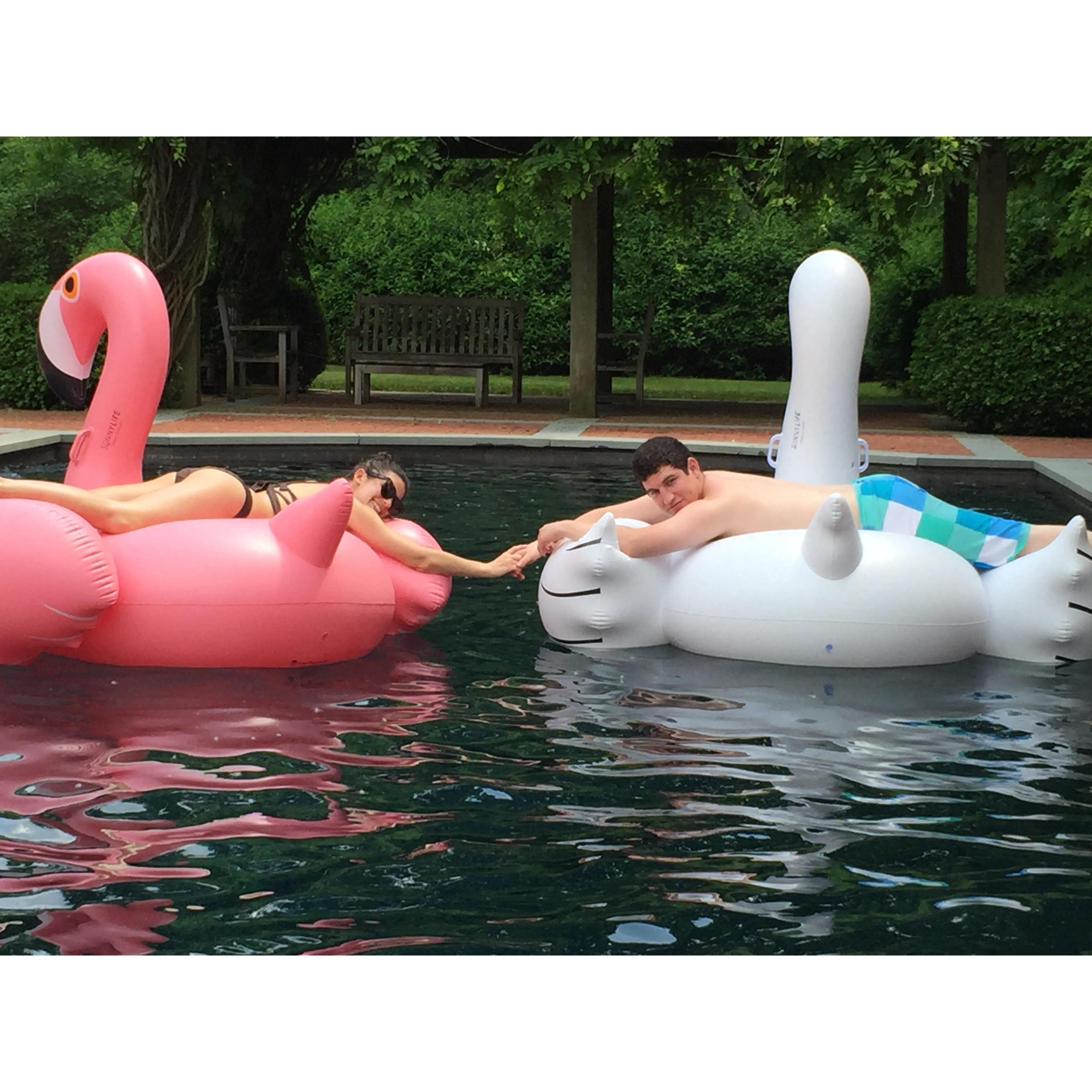 We spent a lot time in our first few years of dating at Nick's family house in South Salem, NY. We bought SO many of these inflatables because they kept popping every few weekends. 

South Salem, 2016