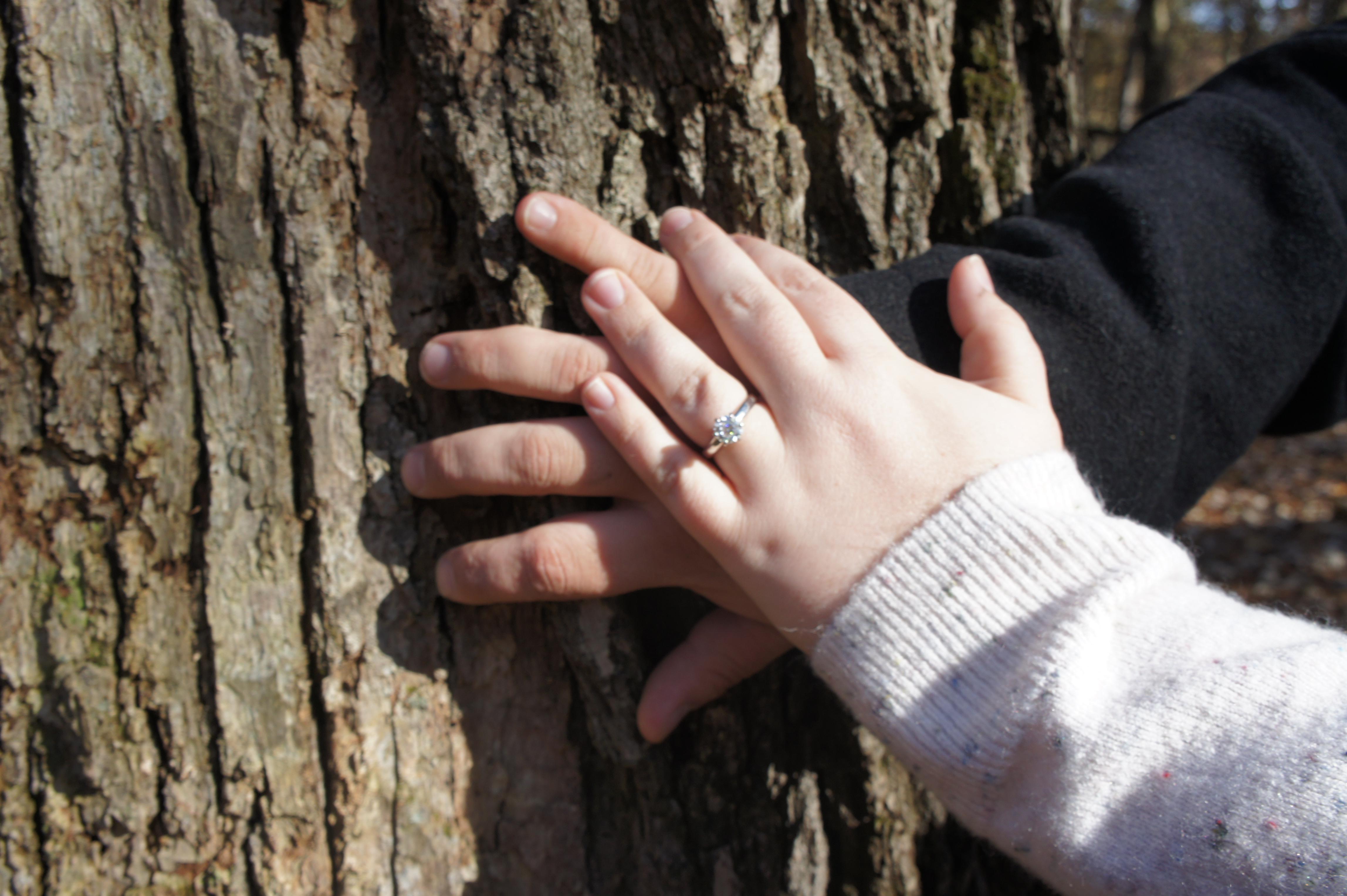 The Wedding Website of Molly Trafton and Jeffrey Redfern