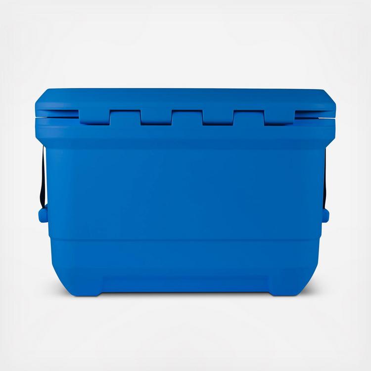 Coleman, Pro 45-Quart Hard Cooler | Zola