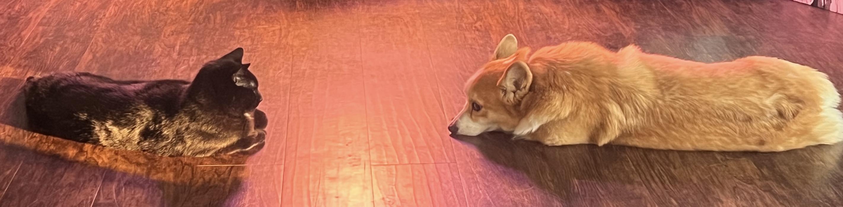 The Wedding Website of Sam Stevens and David Gould