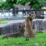 Milwaukee County Zoo