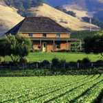Talley Vineyards